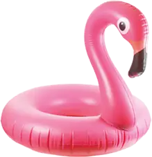 Pink flamingo float – removal of recreational and pool items